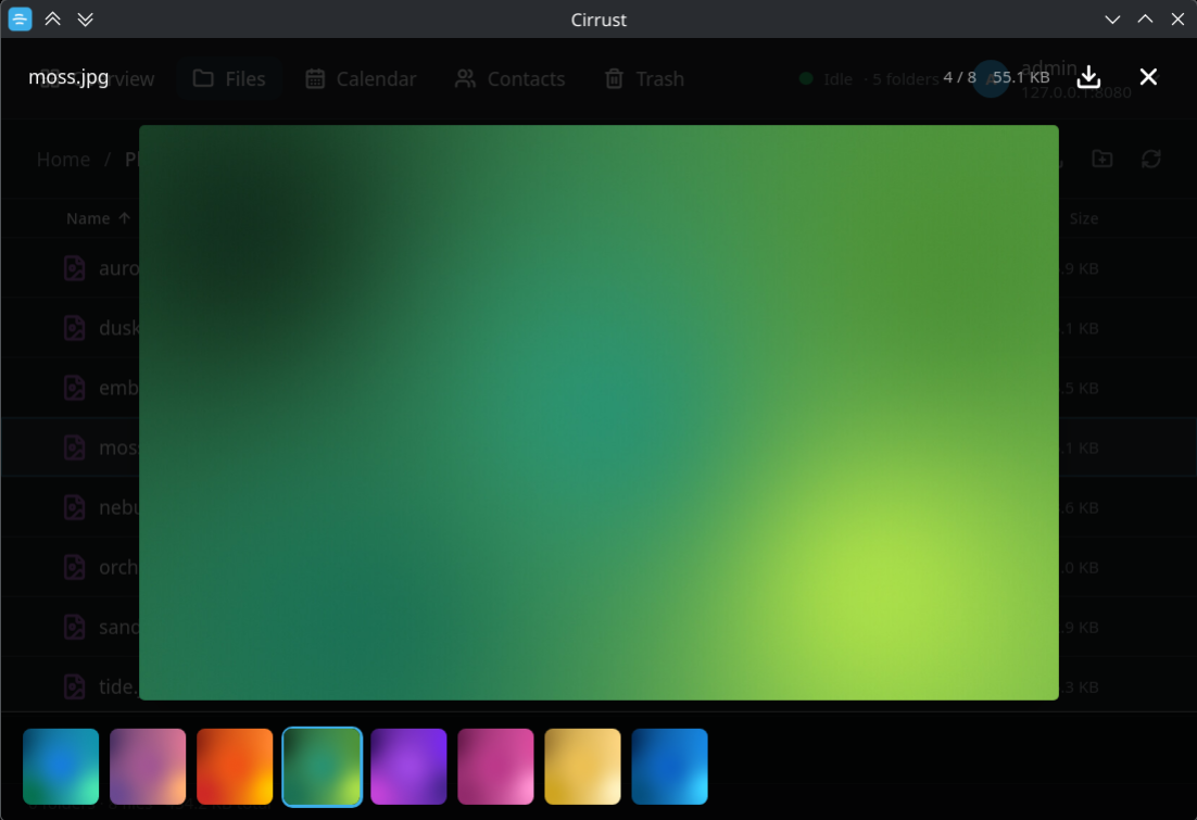 Cirrust media preview modal showing an image gallery with the thumbnail filmstrip