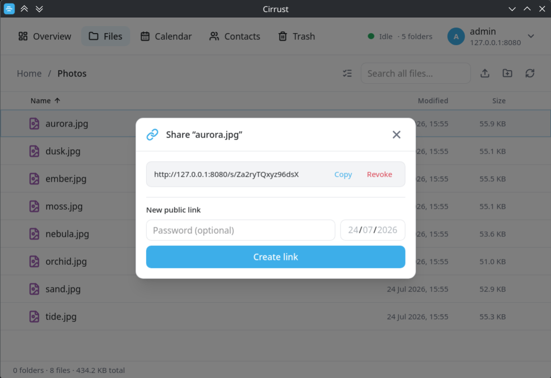 Cirrust share dialog showing an existing public link with Copy and Revoke, plus password and expiry fields